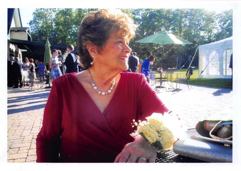 Donna Sicuranza: A Quiet Leader Making a Lasting Impact in Animal Welfare